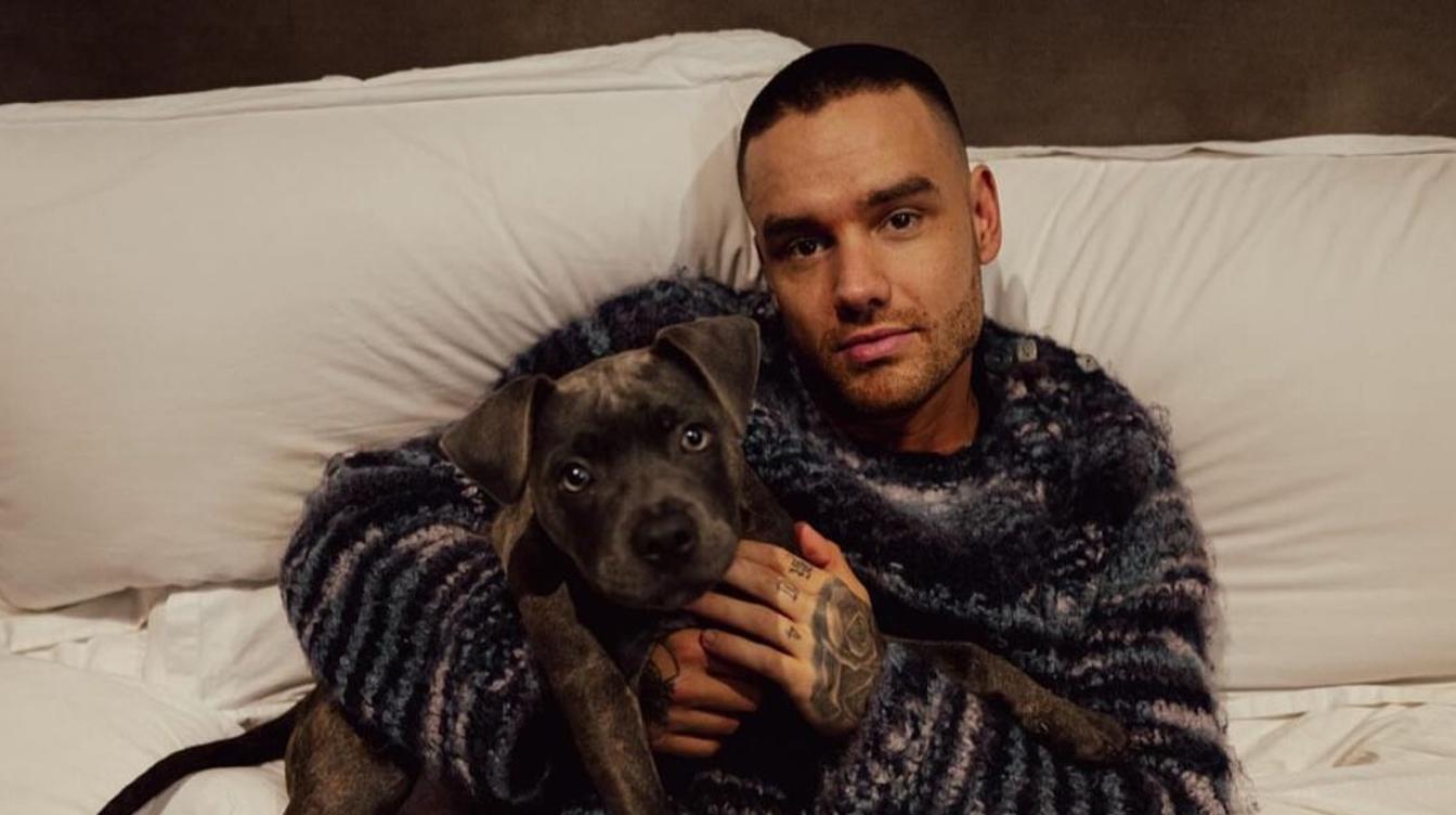 Раскрыты разговоры Лиама Пейна с девушками перед смертью