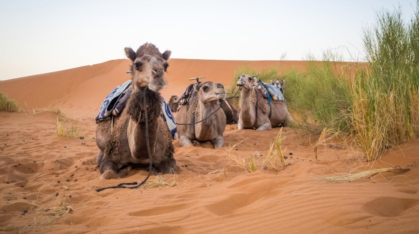 Отдохнуть от позитива. С какими неприятностями сталкиваются российские туристы